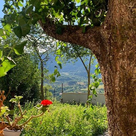 B&B Al San Francesco Кастел ди Сангро Екстериор снимка